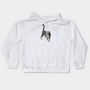 Bengal Cat Kitten Silver Spotted Beauty Kids Hoodie